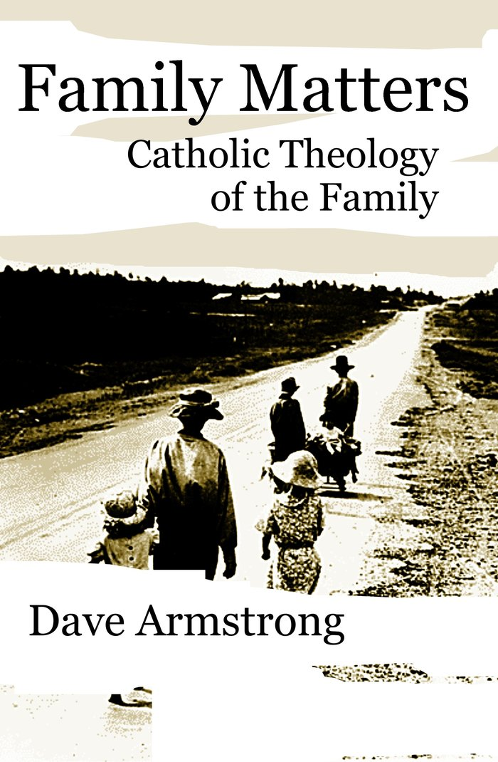 Family Matters: A Catholic Theology of the Family cover